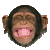 ca c'est LéO